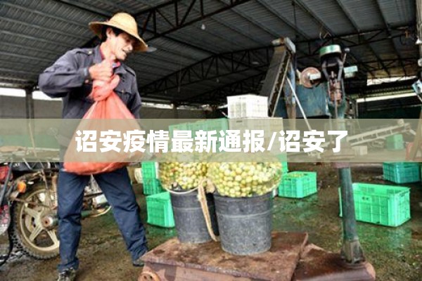 诏安疫情最新通报/诏安了