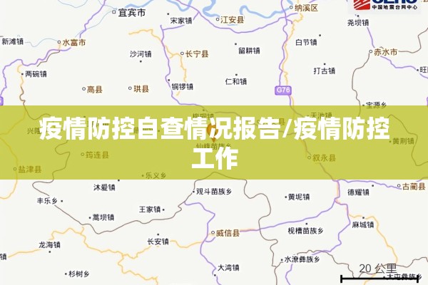 疫情防控自查情况报告/疫情防控工作