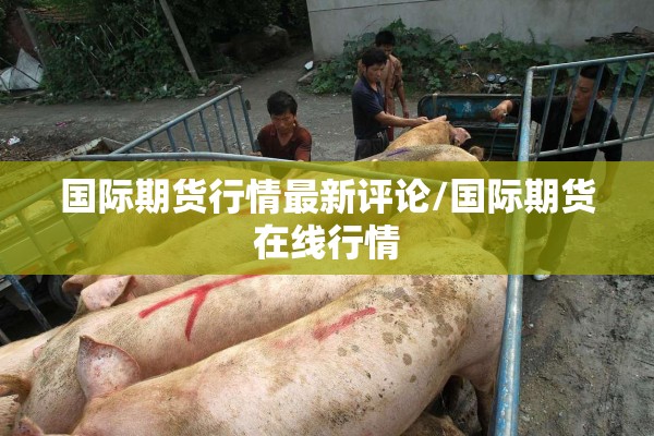 国际期货行情最新评论/国际期货在线行情 国际期货行情最新评论/国际期货在线行情