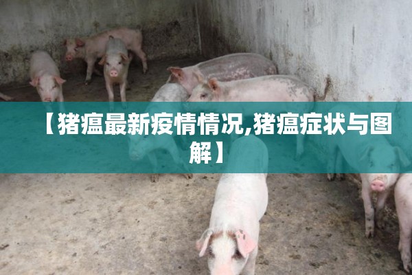 【猪瘟最新疫情情况,猪瘟症状与图解】 【猪瘟最新疫情情况,猪瘟症状与图解】