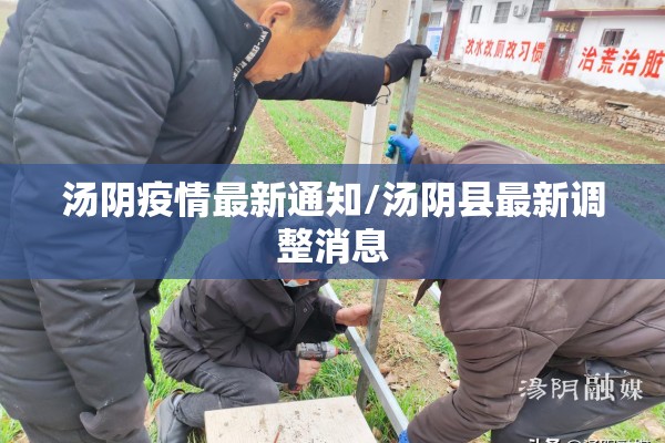 汤阴疫情最新通知/汤阴县最新调整消息