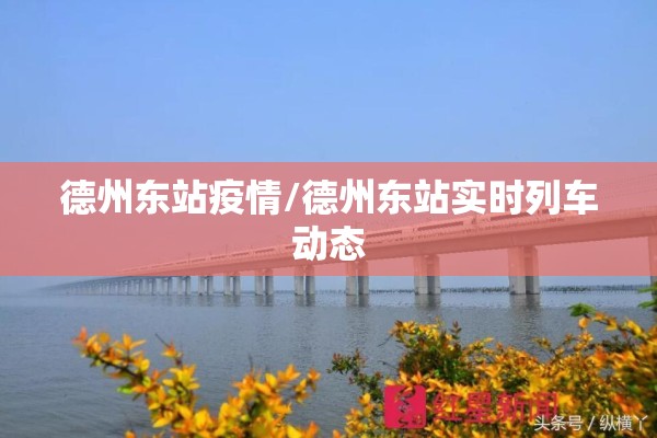 德州东站疫情/德州东站实时列车动态