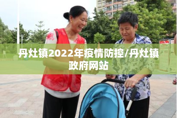 丹灶镇2022年疫情防控/丹灶镇政府网站