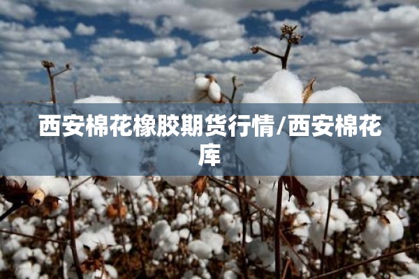 西安棉花橡胶期货行情/西安棉花库