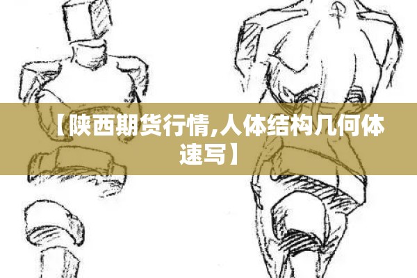 【陕西期货行情,人体结构几何体速写】 【陕西期货行情,人体结构几何体速写】
