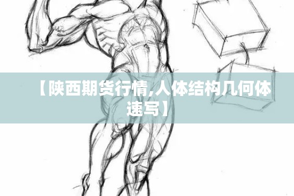 【陕西期货行情,人体结构几何体速写】 【陕西期货行情,人体结构几何体速写】