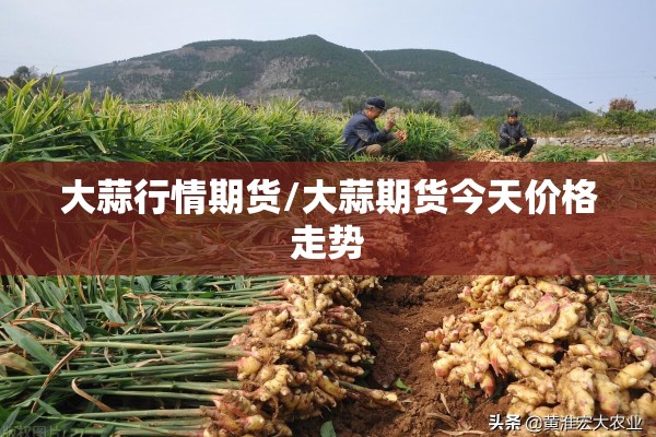 大蒜行情期货/大蒜期货今天价格走势