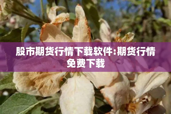 股市期货行情下载软件:期货行情免费下载 股市期货行情下载软件:期货行情免费下载