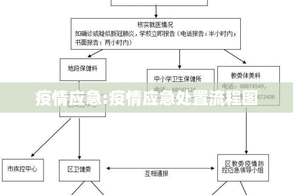 疫情应急:疫情应急处置流程图