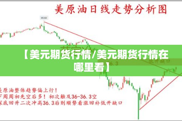 【美元期货行情/美元期货行情在哪里看】 【美元期货行情/美元期货行情在哪里看】