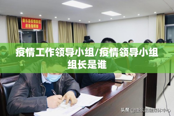 疫情工作领导小组/疫情领导小组组长是谁