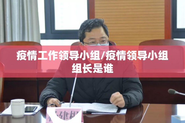 疫情工作领导小组/疫情领导小组组长是谁