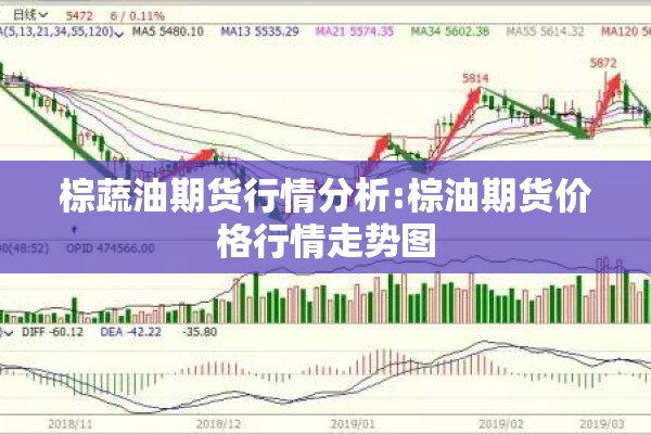 棕蔬油期货行情分析:棕油期货价格行情走势图