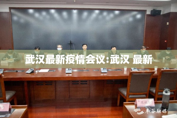 武汉最新疫情会议:武汉 最新