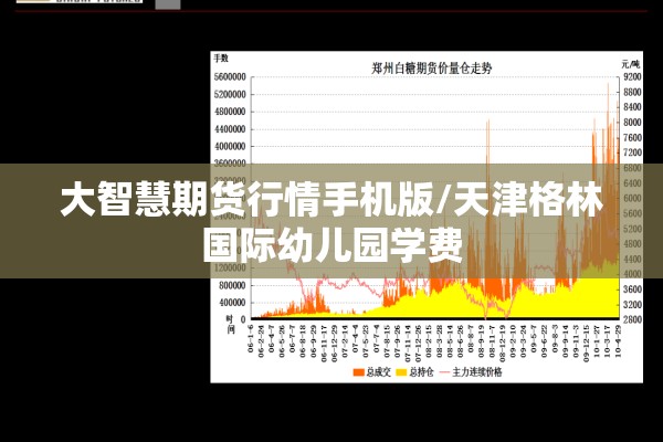 大智慧期货行情手机版/天津格林国际幼儿园学费
