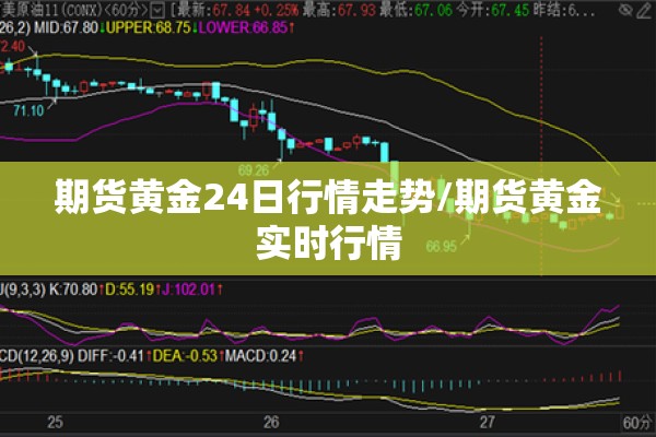 期货黄金24日行情走势/期货黄金实时行情