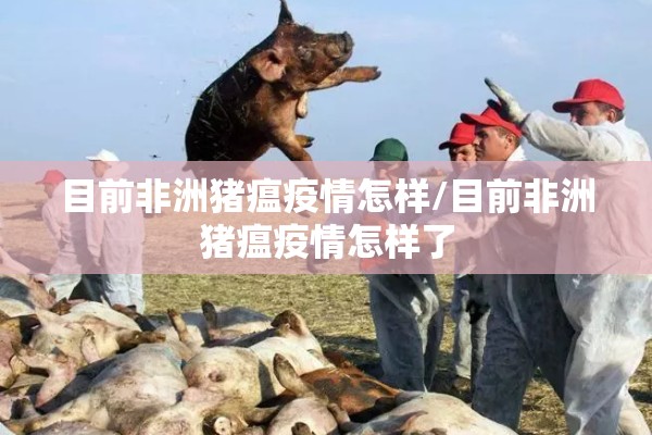 目前非洲猪瘟疫情怎样/目前非洲猪瘟疫情怎样了