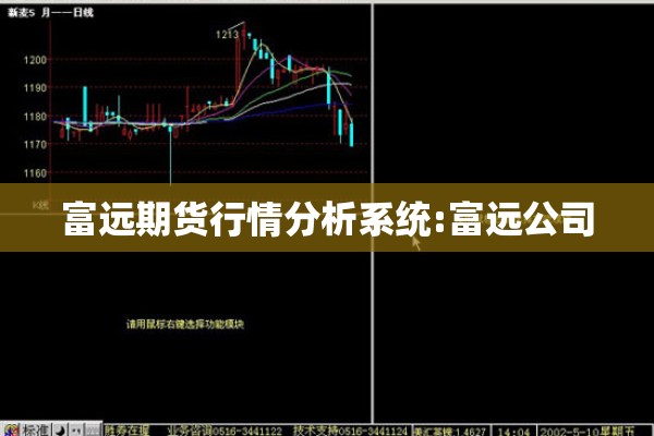 富远期货行情分析系统:富远公司