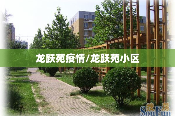 龙跃苑疫情/龙跃苑小区