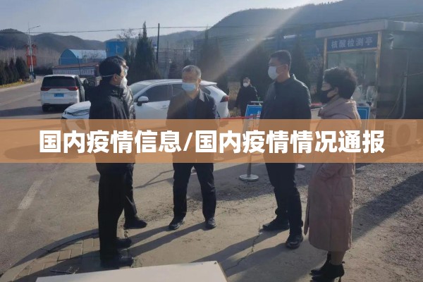 国内疫情信息/国内疫情情况通报