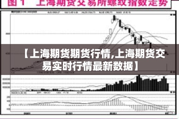 【上海期货期货行情,上海期货交易实时行情最新数据】 【上海期货期货行情,上海期货交易实时行情最新数据】