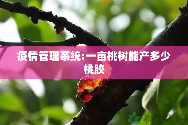 疫情管理系统:一亩桃树能产多少桃胶