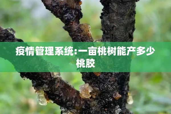 疫情管理系统:一亩桃树能产多少桃胶