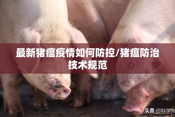 最新猪瘟疫情如何防控/猪瘟防治技术规范 最新猪瘟疫情如何防控/猪瘟防治技术规范