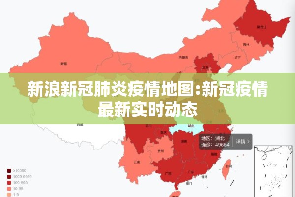 新浪新冠肺炎疫情地图:新冠疫情最新实时动态