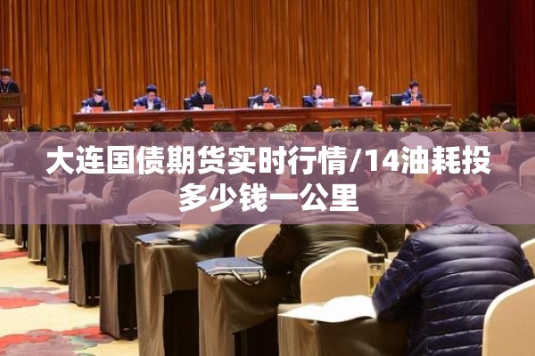 大连国债期货实时行情/14油耗投多少钱一公里