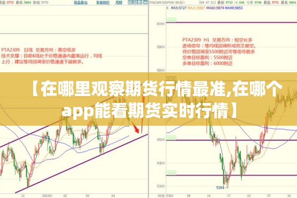 【在哪里观察期货行情最准,在哪个app能看期货实时行情】