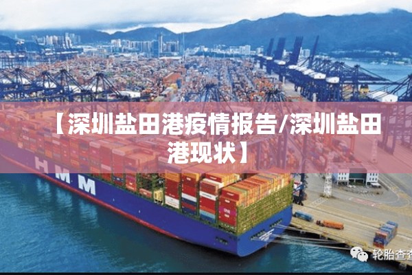 【深圳盐田港疫情报告/深圳盐田港现状】
