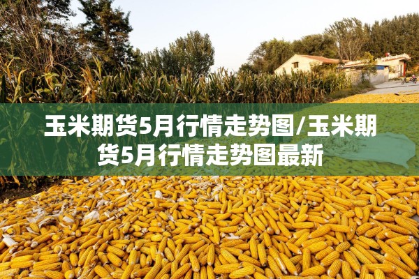 玉米期货5月行情走势图/玉米期货5月行情走势图最新 玉米期货5月行情走势图/玉米期货5月行情走势图最新