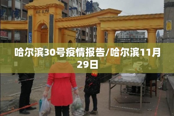 哈尔滨30号疫情报告/哈尔滨11月29日 哈尔滨30号疫情报告/哈尔滨11月29日