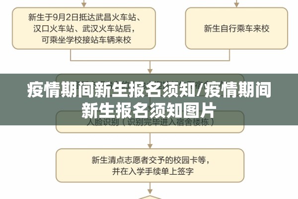 疫情期间新生报名须知/疫情期间新生报名须知图片