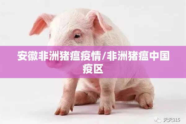安徽非洲猪瘟疫情/非洲猪瘟中国疫区 安徽非洲猪瘟疫情/非洲猪瘟中国疫区