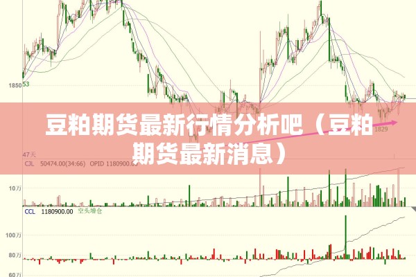 豆粕期货最新行情分析吧（豆粕期货最新消息）