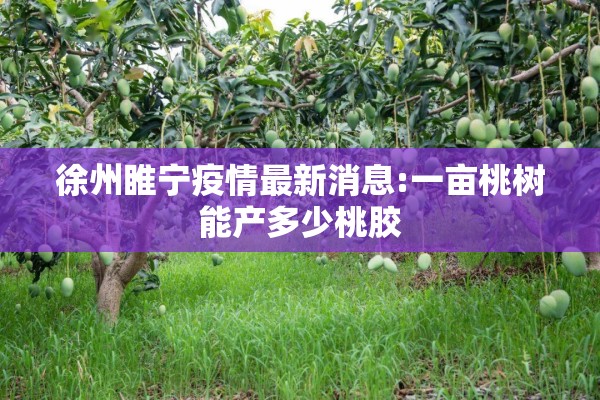 徐州睢宁疫情最新消息:一亩桃树能产多少桃胶 徐州睢宁疫情最新消息:一亩桃树能产多少桃胶