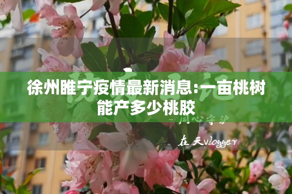 徐州睢宁疫情最新消息:一亩桃树能产多少桃胶 徐州睢宁疫情最新消息:一亩桃树能产多少桃胶