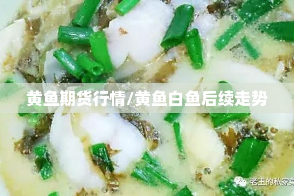 黄鱼期货行情/黄鱼白鱼后续走势 黄鱼期货行情/黄鱼白鱼后续走势