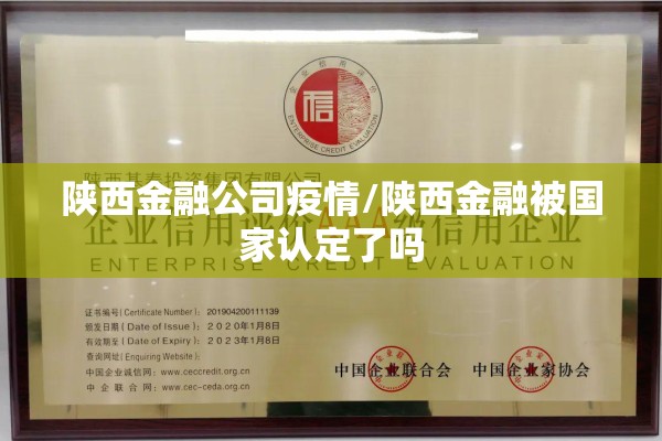 陕西金融公司疫情/陕西金融被国家认定了吗