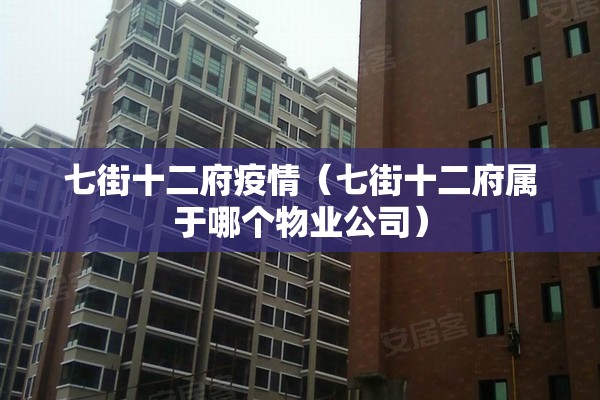 七街十二府疫情（七街十二府属于哪个物业公司）