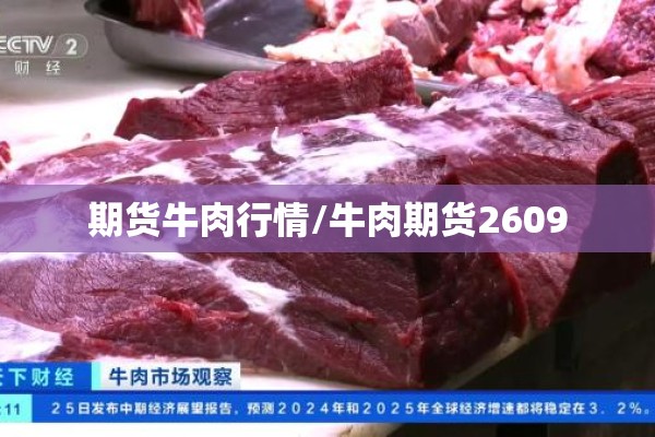 期货牛肉行情/牛肉期货2609 期货牛肉行情/牛肉期货2609