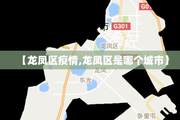 【龙凤区疫情,龙凤区是哪个城市】