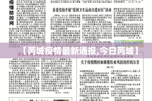 【芮城疫情最新通报,今日芮城】 【芮城疫情最新通报,今日芮城】