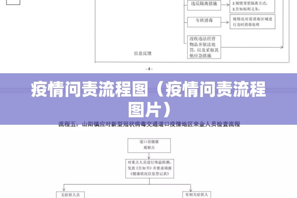 疫情问责流程图（疫情问责流程图片）