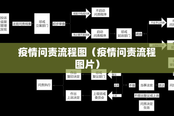 疫情问责流程图（疫情问责流程图片）