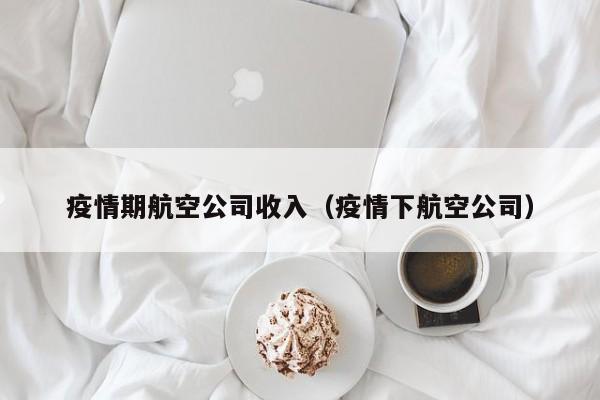 疫情期航空公司收入(疫情下航空公司)