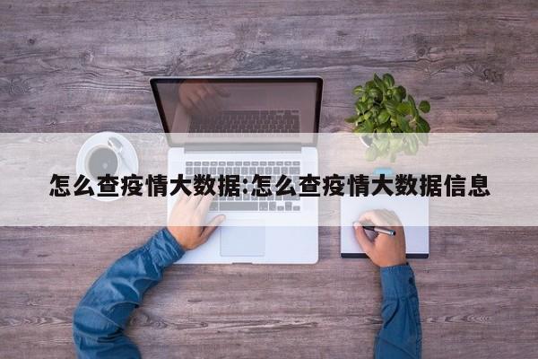 怎么查疫情大数据:怎么查疫情大数据信息