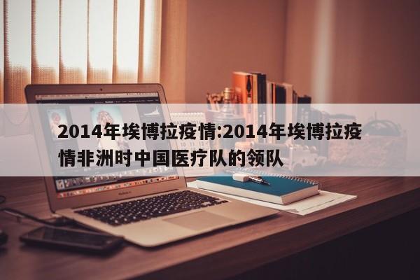 2014年埃博拉疫情:2014年埃博拉疫情非洲时中国医疗队的领队